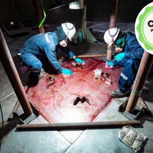 NR33 – Trabalhador Autorizado e Vigia (16 horas) Presencial